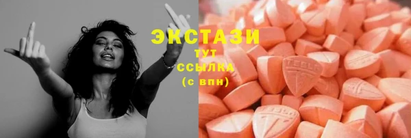 индика Медвежьегорск