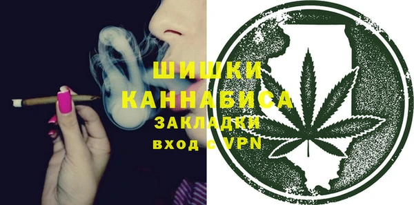 прущие грибы Володарск