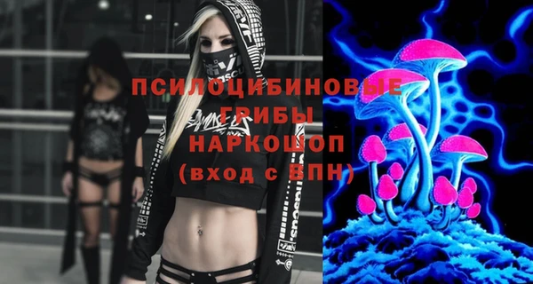 spice Вяземский