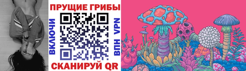 Галлюциногенные грибы Psilocybe Заозёрный